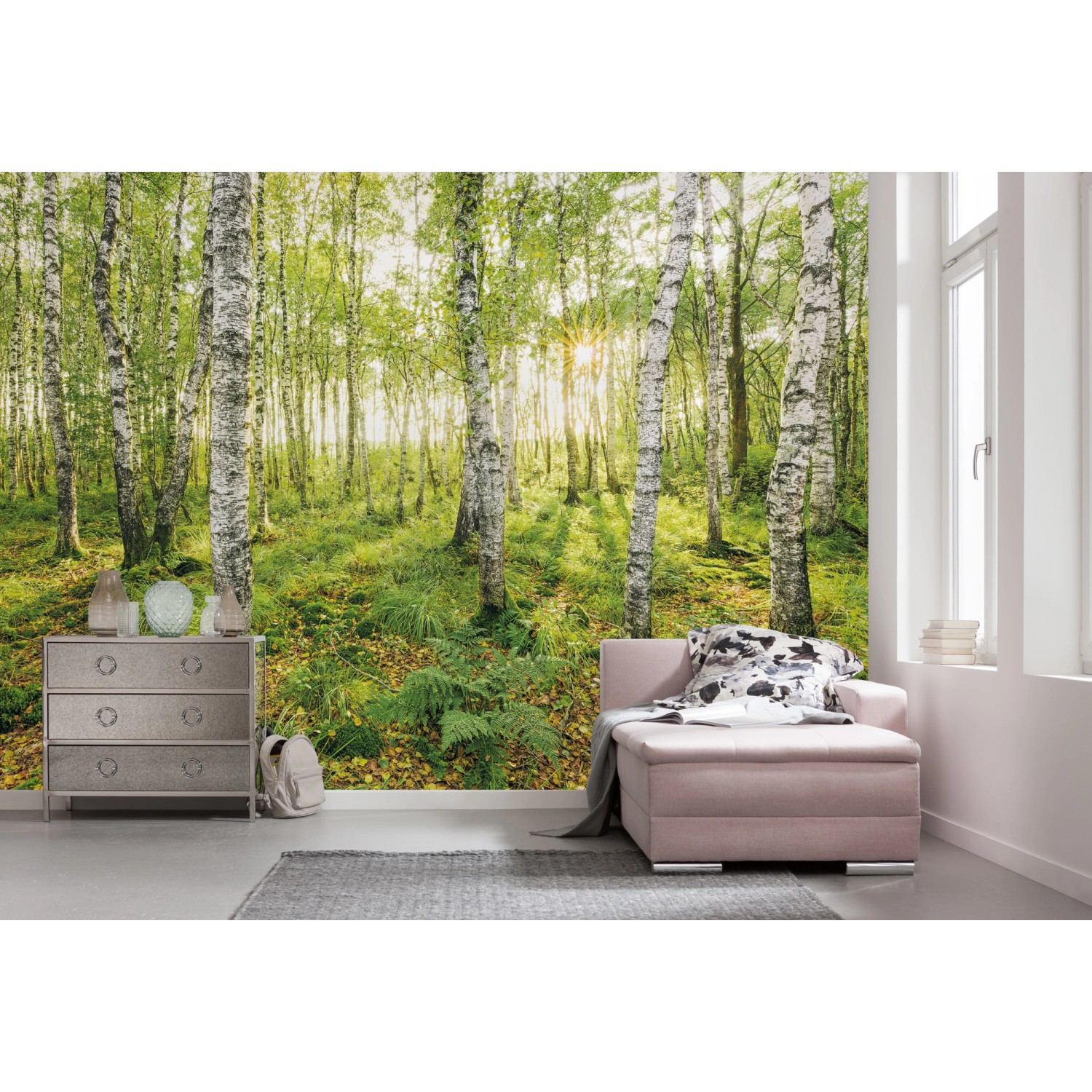 Komar Vlies Fototapete mit Birkenwald-Motiv, 400x250cm. Natur für Wohn- und Schlafzimmer.