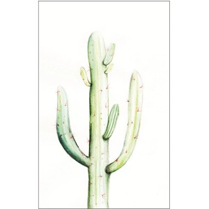 Komar Wandbild Saguaro Watercolor 50 x 70 cm
