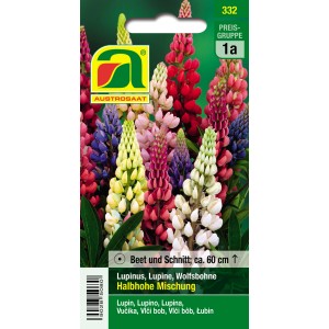 Austrosaat Lupinen Halbhohe Mischung Saatgut mit mehrfarbigen Blüten.
