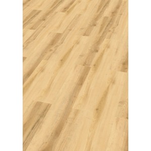 Check Vinylboden Laubach Esche Breitdiele Klick