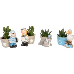 Arrangement mit kleinen Grünpflanzen in maritimen Keramiktöpfen (Ø ca. 6 cm) mit verschiedenen Motiven.