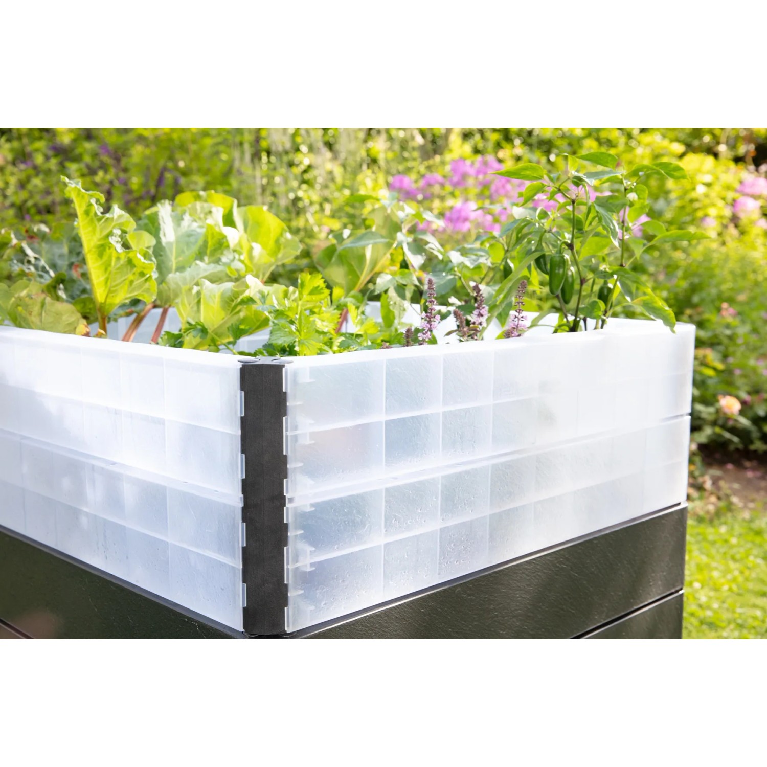 Garantia Hochbeet Ergo Quadro Turbo M 75 Stone mit Wachstumsmodul und Bepflanzung.