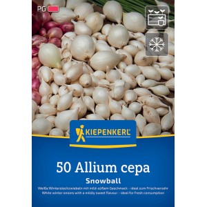 Kiepenkerl Wintersteckzwiebeln Snowball, weiße Zwiebeln, 50 Stück, ideal zum Anpflanzen im Herbst.