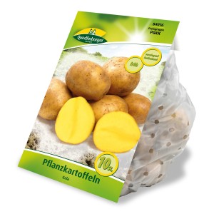 Quedlinburger Pflanzkartoffeln Gala, vorwiegend festkochend, gelbfleischig.
