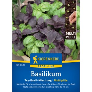 Kiepenkerl Basilikum "Try-Basil-Mix"