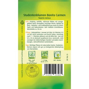 Samentüte Studentenblume Bonita Carmen, rotbraune Blüten für Beet, Balkon und Kübel.