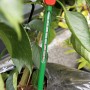 Juliana Erdbodenthermometer im Beet, Gewächshaus-Zubehör zur Messung der Bodentemperatur.