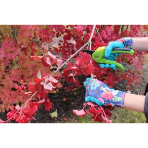 Gartenarbeit mit Workpower Gartenhandschuhen Fiona in Lachs, Größe 7, beim Schneiden von Ästen.