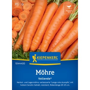 Kiepenkerl Möhre Vollenda Saatgut: Karotten, ca. 20 cm lang, orange, Bund, Gemüsesamen.