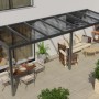 Anthrazitfarbene Terrassenüberdachung Professional 700x350 cm mit klarer Polycarbonat-Eindeckung.