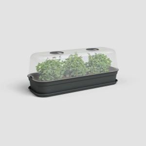 Artevasi Anzucht-Haube Madagascar L, transparent, mit Pflanzen in einem schwarzen Anzuchtkasten.