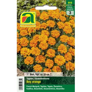 Austrosaat Studentenblume Boy Orange Saatgutpackung mit orangefarbenen Blüten.