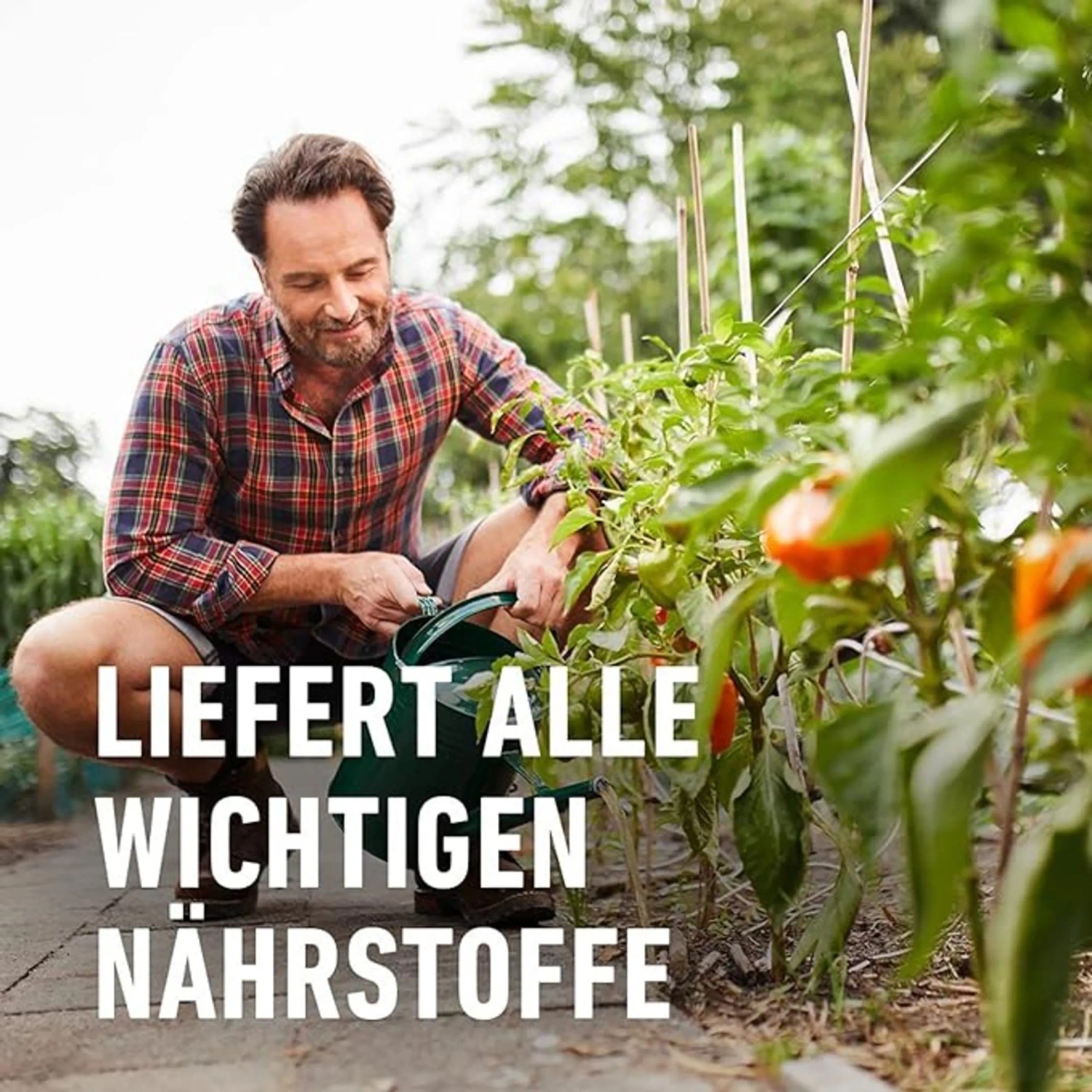 Compo Bio Obst- und Gemsednger 1 l kaufen bei OBI