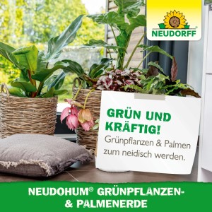 Neudorff Erde für Grünpflanzen- & Palmen NeudoHum 40 l