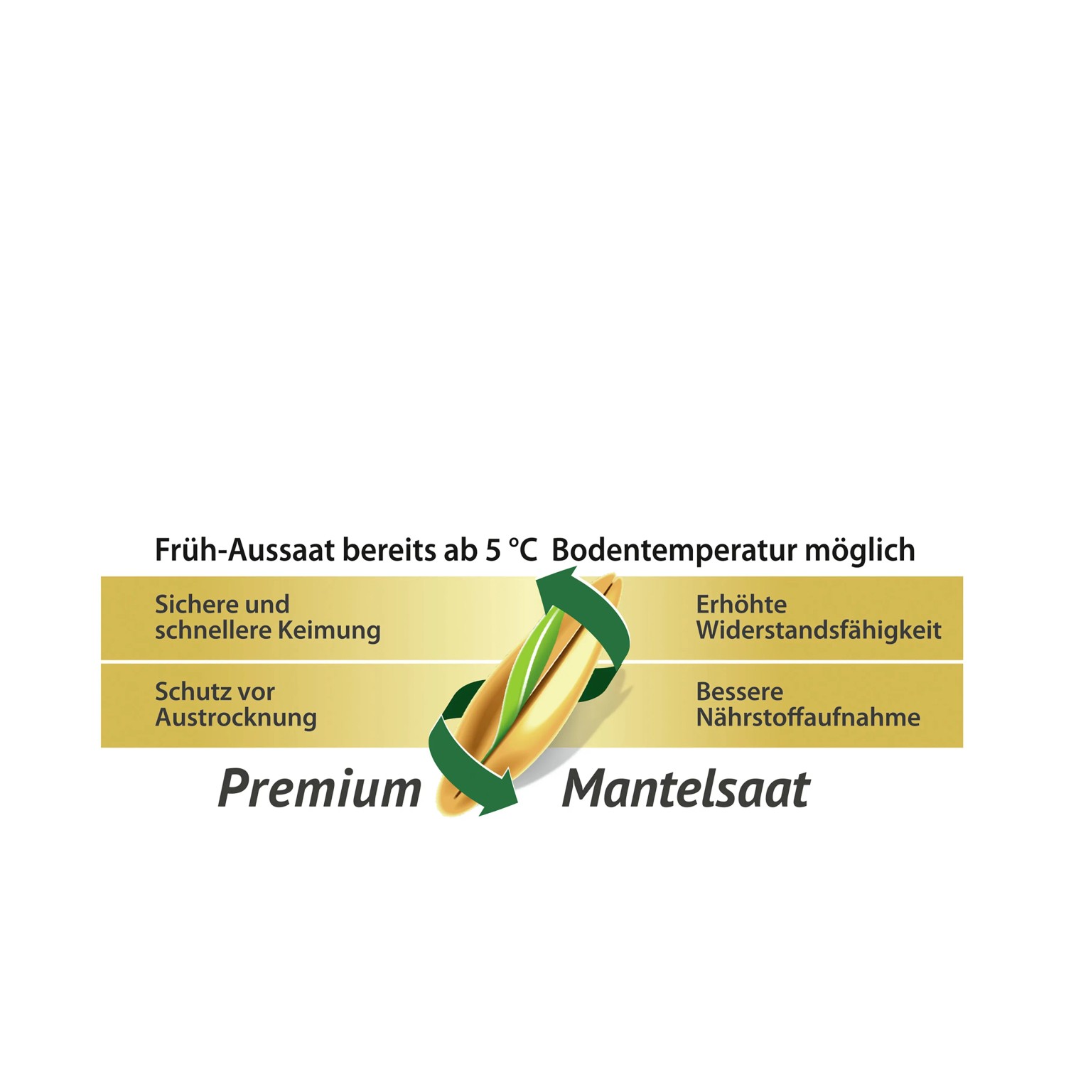 Compo Saat® Trocken-Rasen: Detailaufnahme der Premium-Mantelsaat mit verbesserter Keimung und Widerstandsfähigkeit.