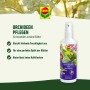 Compo Blattpflege für Orchideen 250 ml_5