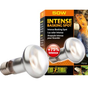 Exo Terra Intense Basking Spot 50W Wärmelampe für Terrarien, zur Erzeugung von Wärmeplätzen.