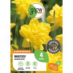 Gelbe, gefüllte Narzissen Golden Ducat, 4 Stück. Blumenzwiebeln für sonnige Standorte.