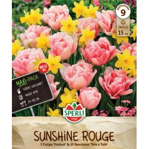 Sperli Blumenzwiebeln Sunshine Rouge Mix mit rosa Tulpen und gelben Narzissen.