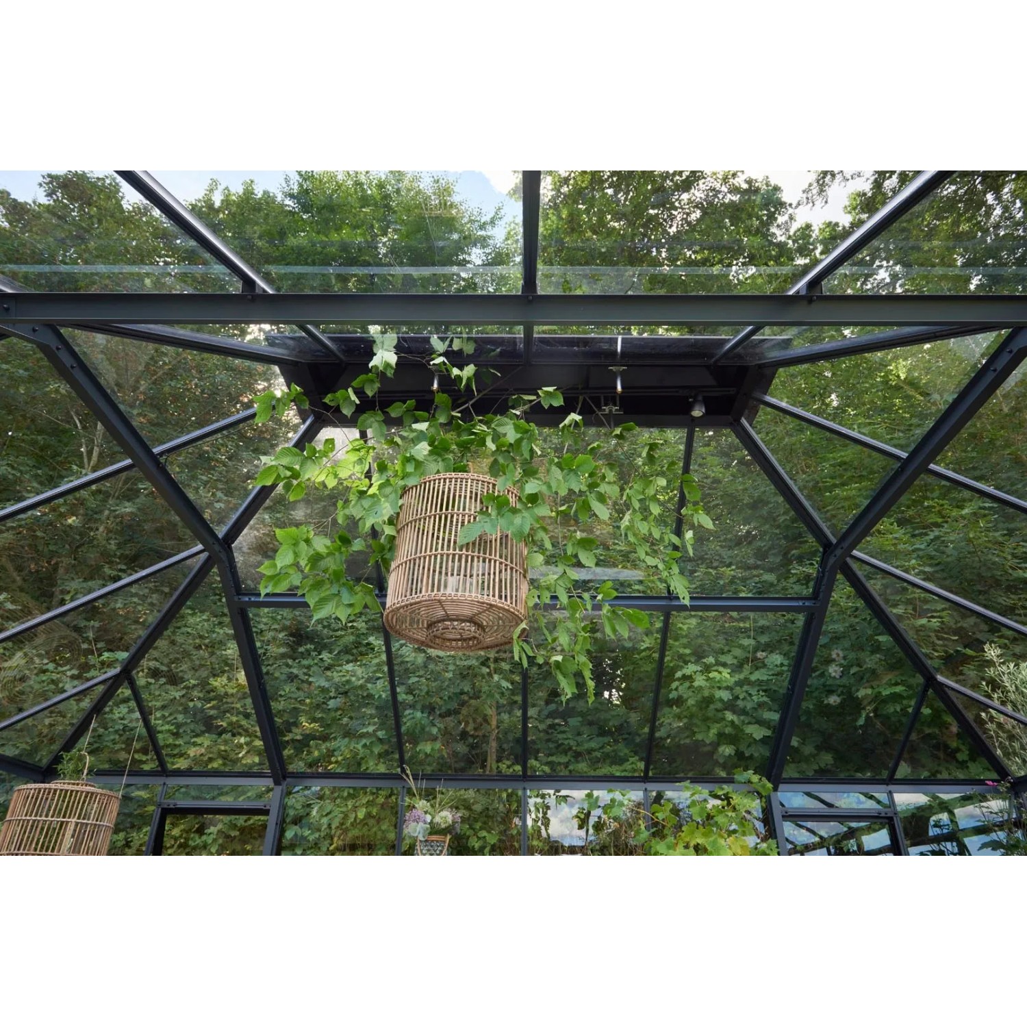 Innenansicht: Juliana Gewächshaus Grand Oase 25, schwarz-anthrazit, mit Pflanzen und Dekoration.