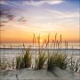 Glasbild Lonely Dune, 30x30 cm: Düne mit Strandhafer im Sonnenuntergang.