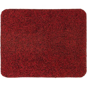 Rote Astra Sauberlaufmatte Entra, saugstarke Fußmatte ca. 90x150 cm.