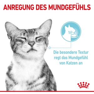 Katze genießt Royal Canin Sensory Feel Nassfutter. Katzenfutter für wählerische Katzen.
