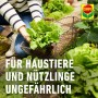 Gärtner mit Salat und Compo Schneckenkorn, sicher für Haustiere und Nützlinge.
