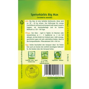 Samenpackung Quedlinburger Speisekürbis 'Big Max'.