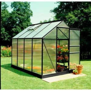 Schwarzes Halls Gewächshaus Popular 86, 5 m², mit Pflanzen im Garten.