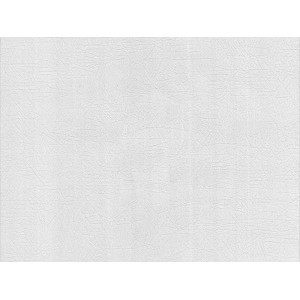 Meistervlies Protect Vliestapete Spachtelputz FSC®