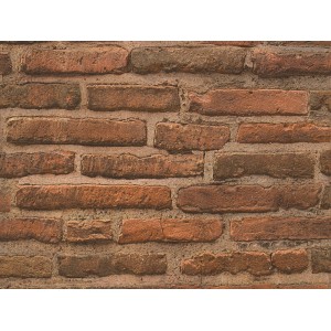 A.S. Création Vliestapete Best of Wood´n Stone Ziegelstein Rostrot-Braun FSC®