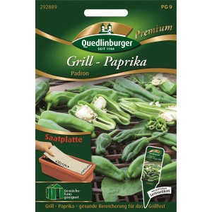 Quedlinburger Grill-Paprika Padron Saatplatte: Packung mit Saatplatte und grünen Paprika.