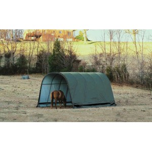 Grünes ShelterLogic Folien-Weidezelt 6,10x4x3m mit Pferd im Inneren.