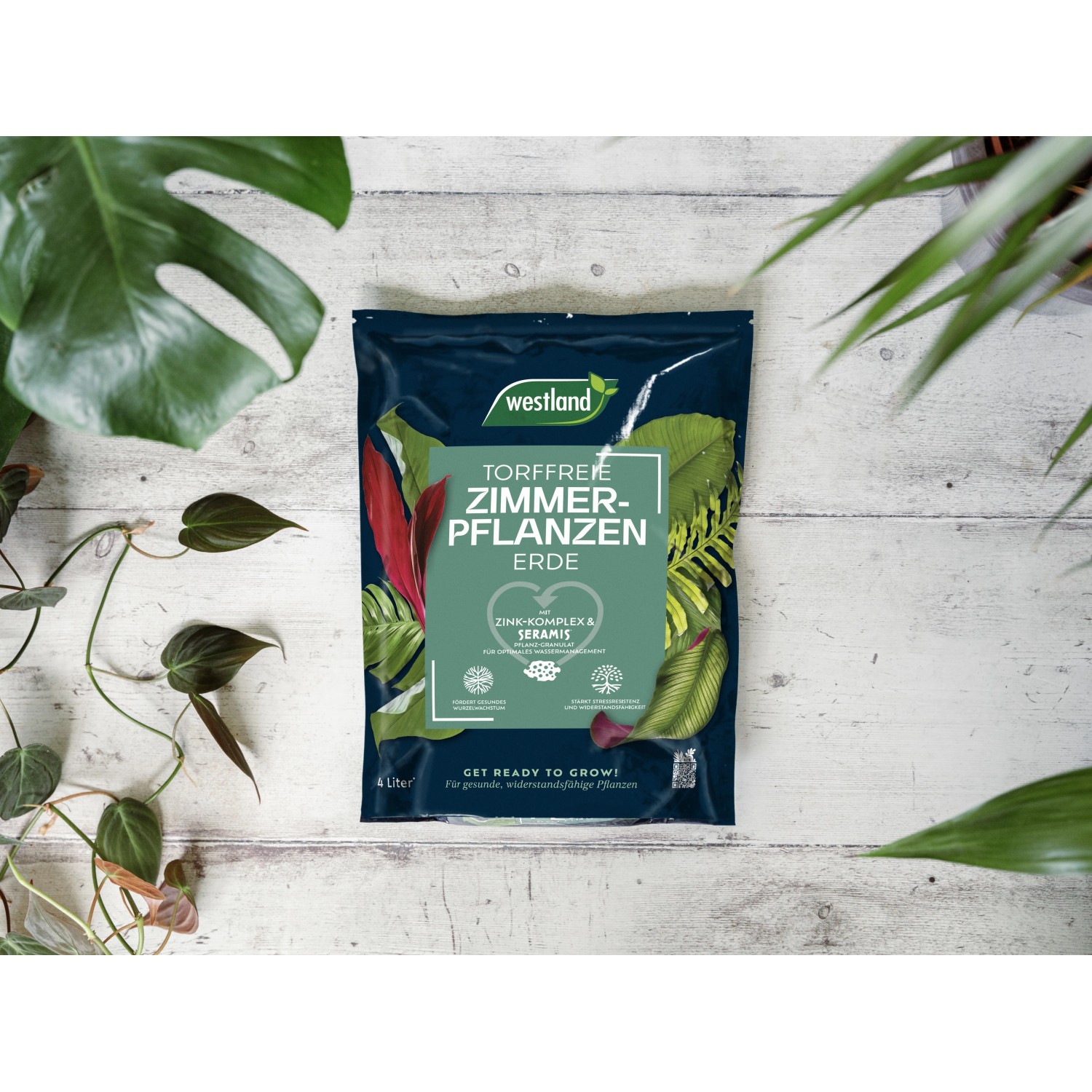 Westland Zimmerpflanzenerde Torffrei mit Seramis, 4 l Sack für gesunde Zimmerpflanzen.