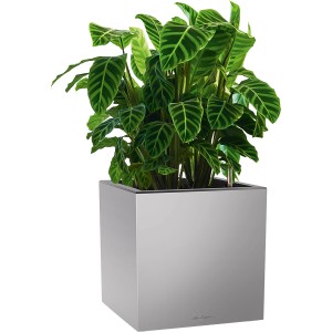 Lechuza Canto Premium low Pflanzgefäß, silber metallic, 40x40 cm, mit Pflanze.