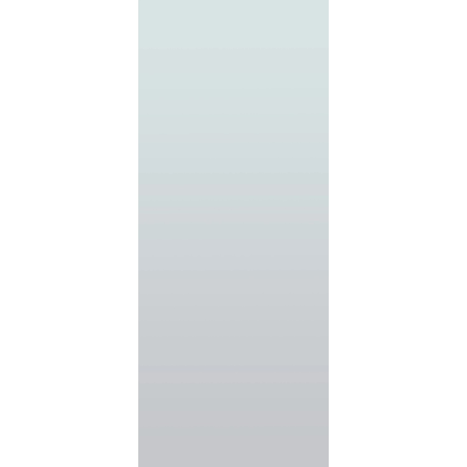 Novadoors Glastür Nova 501, satiniert, mit Siebdruck für Privatsphäre und Lichtdurchlässigkeit.