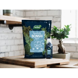 Bonsaierde kaufen bei OBI