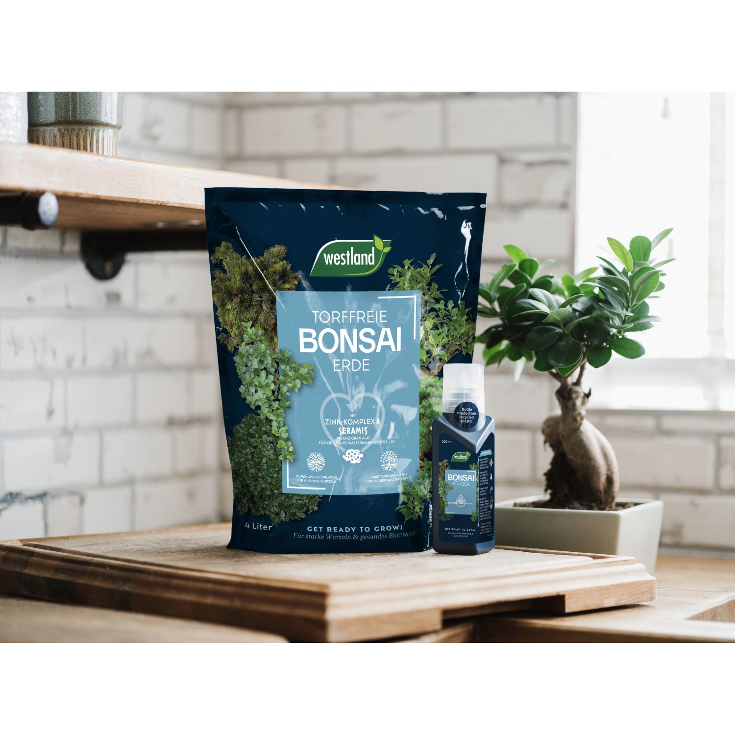 bambus zahnbürste biomüll Bambus Zahnbürsten | Zero Waste | Plastikfrei