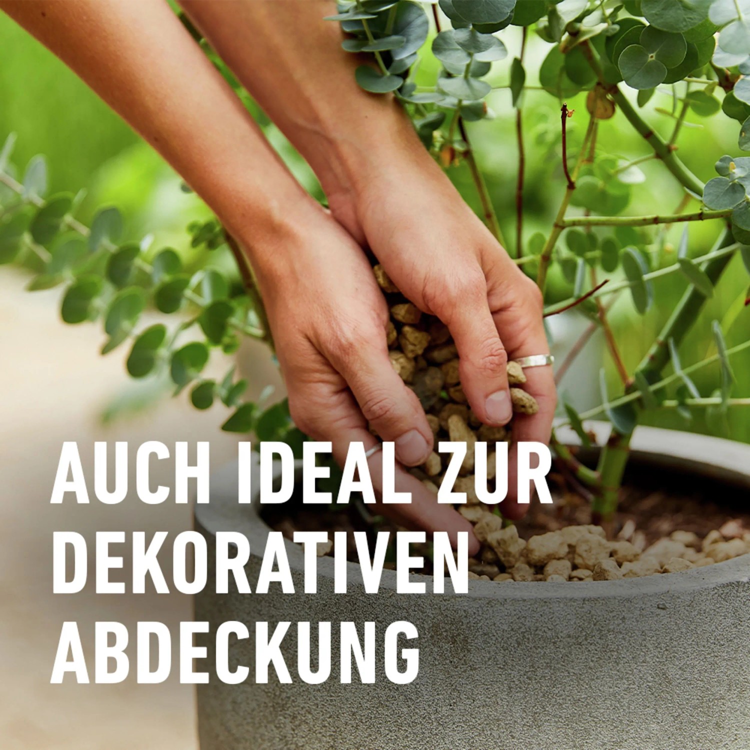 Compo BIO Granuplant® Drainage- und Pflanzgranulat 1 x 10l_5