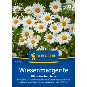 Kiepenkerl Saatgut Wiesenmargerite