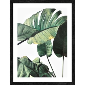 Pro Art Bild Framed Art Jungle Leaves II 40 cm x 30 cm