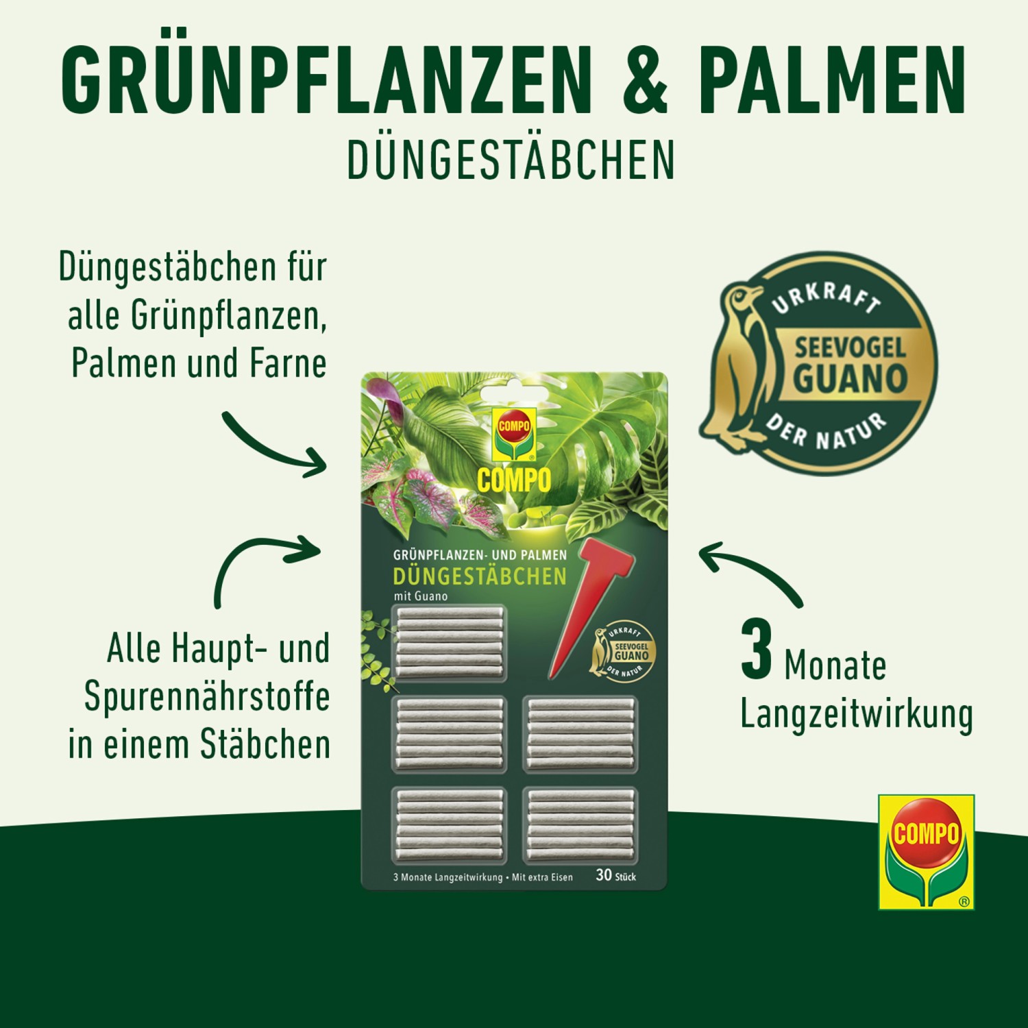Compo Düngestäbchen für Grünpflanzen und Palmen mit Guano 30 Stäbchen_4