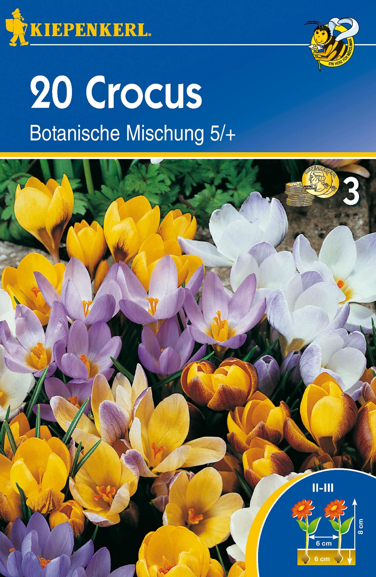 Botanische Krokusse Mischung kaufen bei OBI