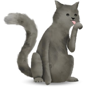 Wandbild: Graue Katze putzt sich, 40x50 cm. Niedliches Katzenmotiv für Kinderzimmer.