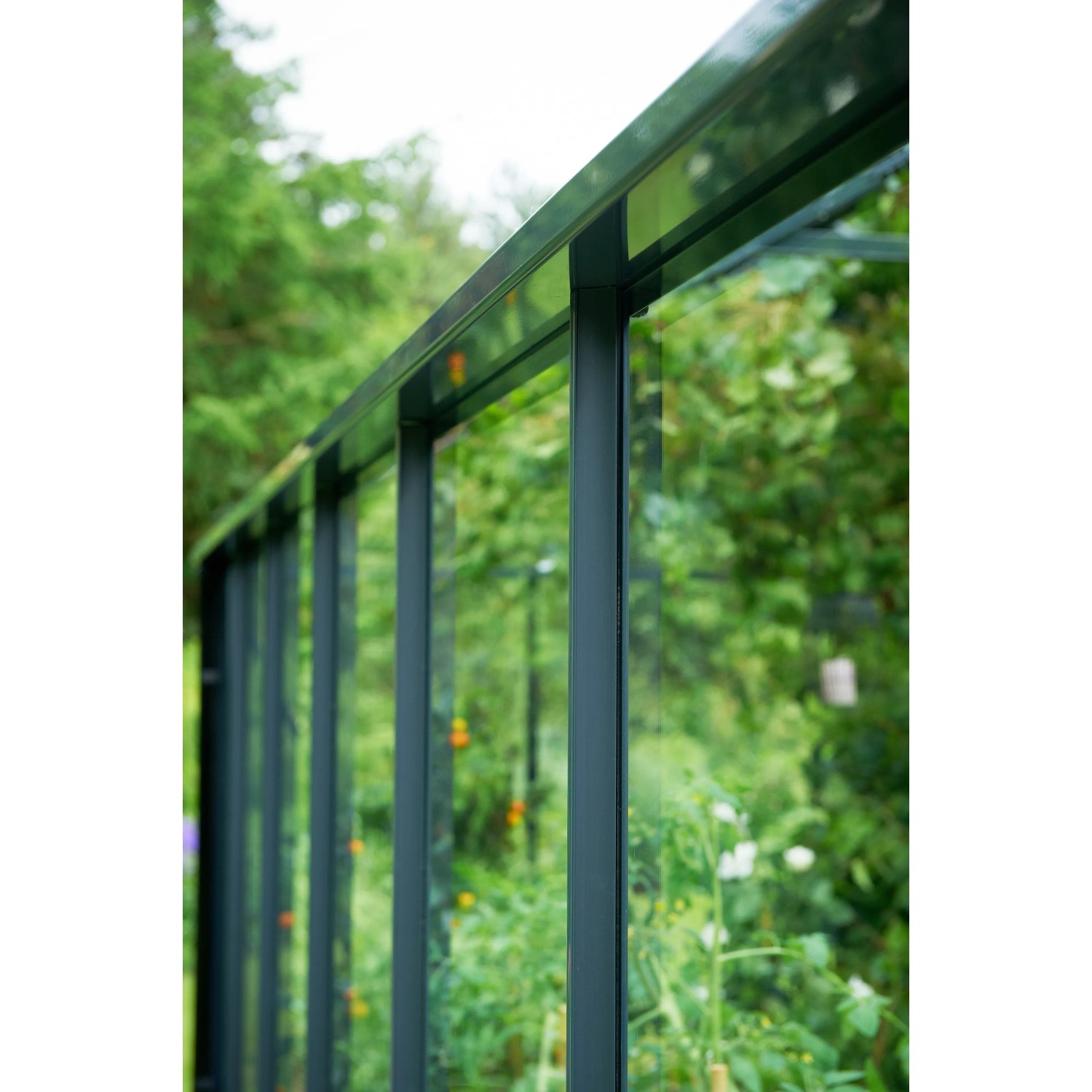 Detailaufnahme: Juliana Gewächshaus Orangerie 15, schwarz-anthrazit, Glas und Rahmen.