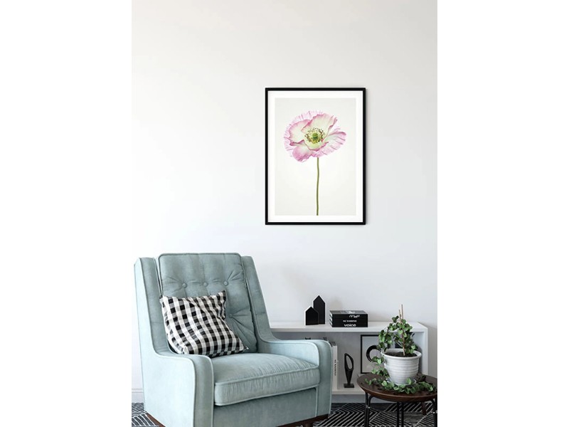 Komar Wandbild Poppy 30 x 40 cm kaufen bei OBI