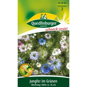 Blumensamen: Quedlinburger Jungfer im Grünen Mischung mit blauen, weißen und rosa Blüten.