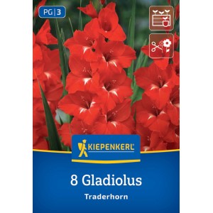 Kiepenkerl Blumenzwiebeln Großblumige Gladiole Traderhorn