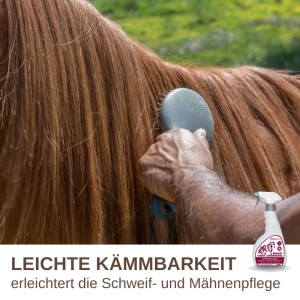 Hand bürstet braune Pferdemähne mit Supravit Schweif- und Mähnenspray für glänzendes Fell und leichte Kämmbarkeit.